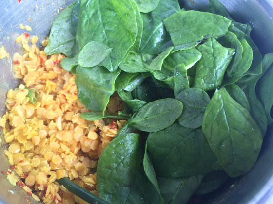 DHAL  & SPINACH 3