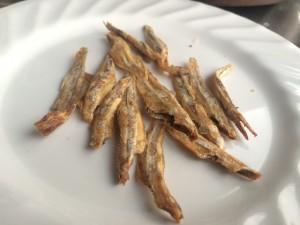 sprats